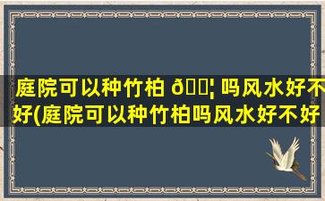 庭院可以种竹柏 🐦 吗风水好不好(庭院可以种竹柏吗风水好不好呀)